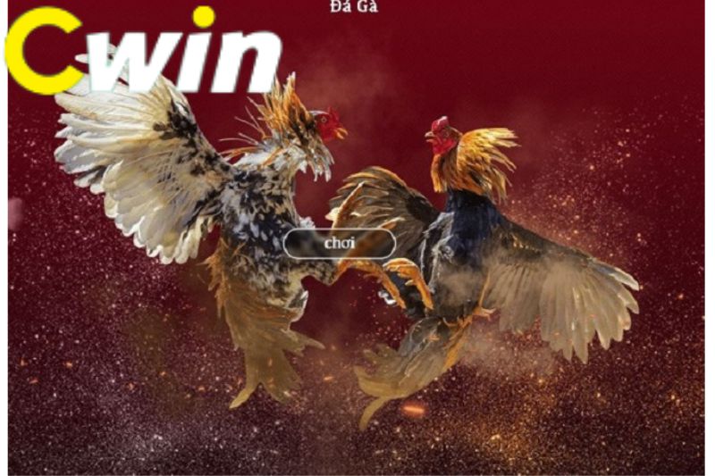 Những điều cần biết khi đăng nhập vào New88 bằng điện thoại di động - New88