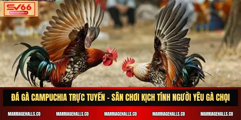 Chính sách đại lý U888 - U888