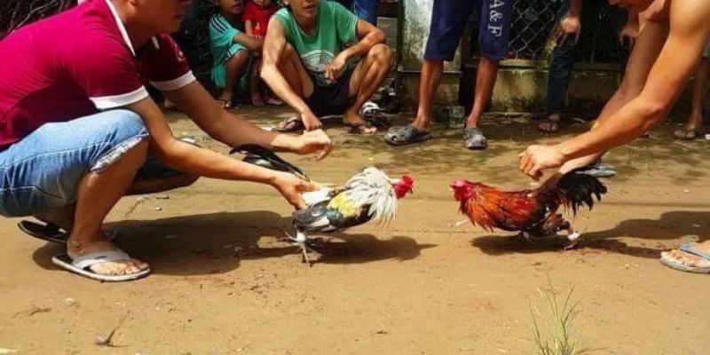 Những trò chơi hấp dẫn, tỷ lệ cược cực kỳ thu hút, tất cả đều có tại Sv88 - Sv88