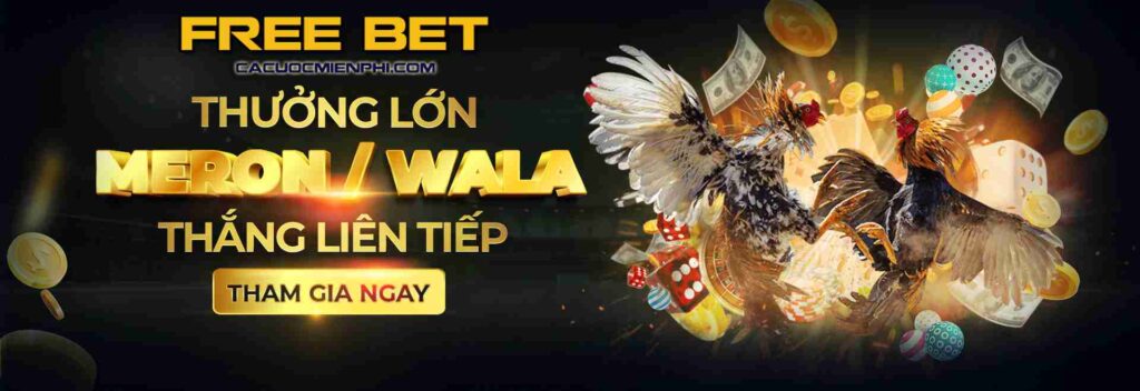 Một cổng thông tin giải trí trực tuyến uy tín với xếp hạng 100Bet (Chi tiết) - 100Bet