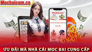 Các sự kiện thể thao quy mô lớn cấp J88 - J88