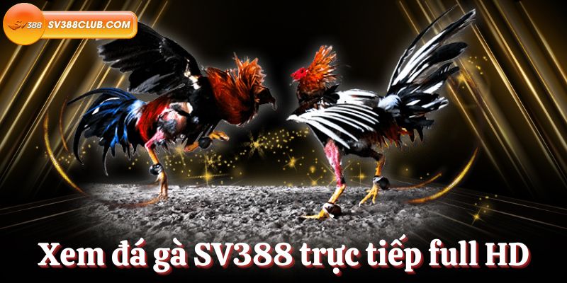 Hướng dẫn nạp và rút tiền 77Bet Pro - 77Bet