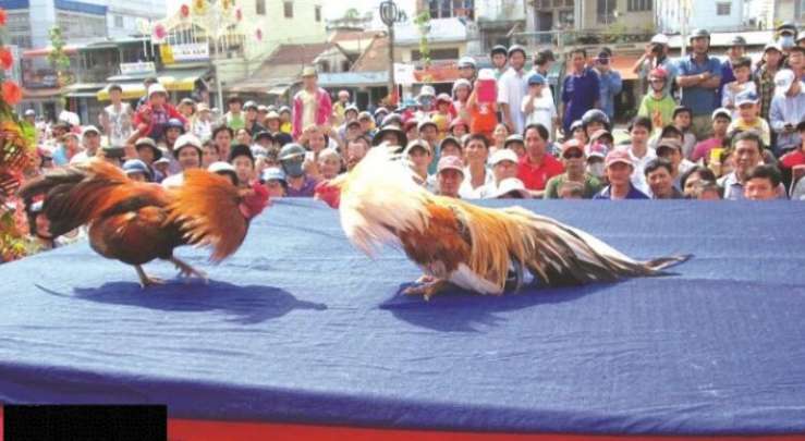 Five88 cung cấp những ưu đãi rất hấp dẫn - Five88
