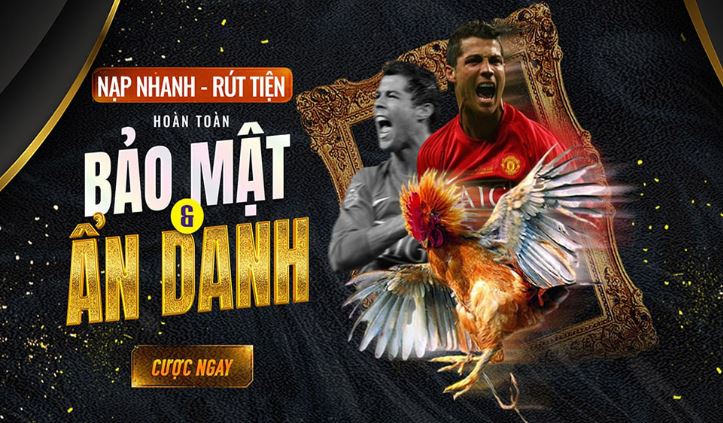 Hạn chế của trang web cổng game V9bet - V9bet