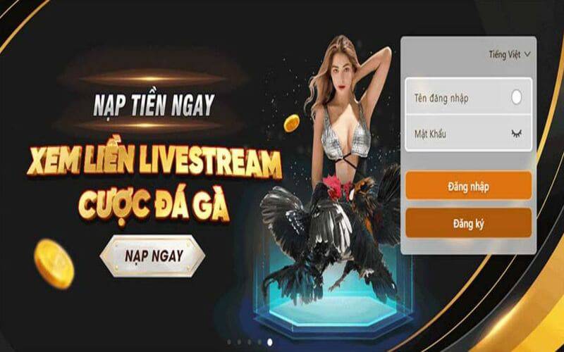Đánh giá thư viện trò chơi trực tuyến được xếp hạng Fun222 - Fun222