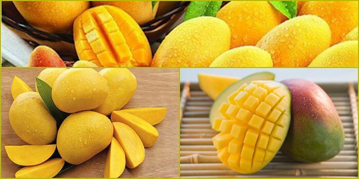 Các cơ sở đạt chuẩn Jili đã triển khai chế độ chơi bắn cá có thưởng - Jili