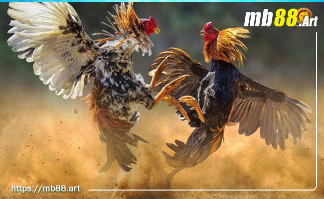 Đánh giá trang web trò chơi Stake - Stake