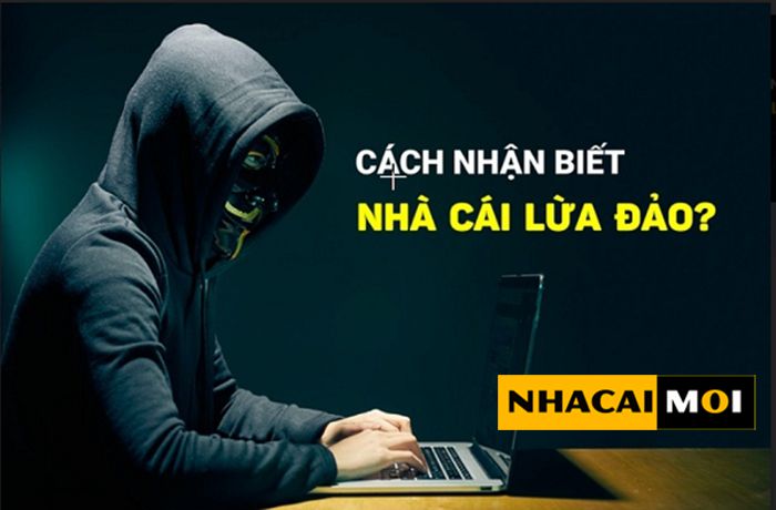 Uy tín của Vb68 Live nằm ở đâu? - Vb68