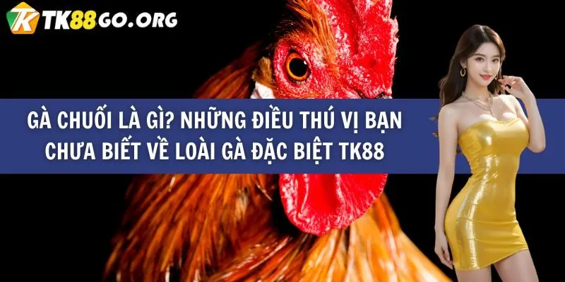 Cần phải hiểu rõ các quy định của Bong88 - Bong88