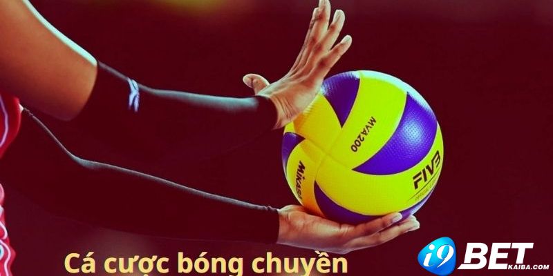 Trải nghiệm trực tiếp Okking diễn ra như thế nào? - Okking